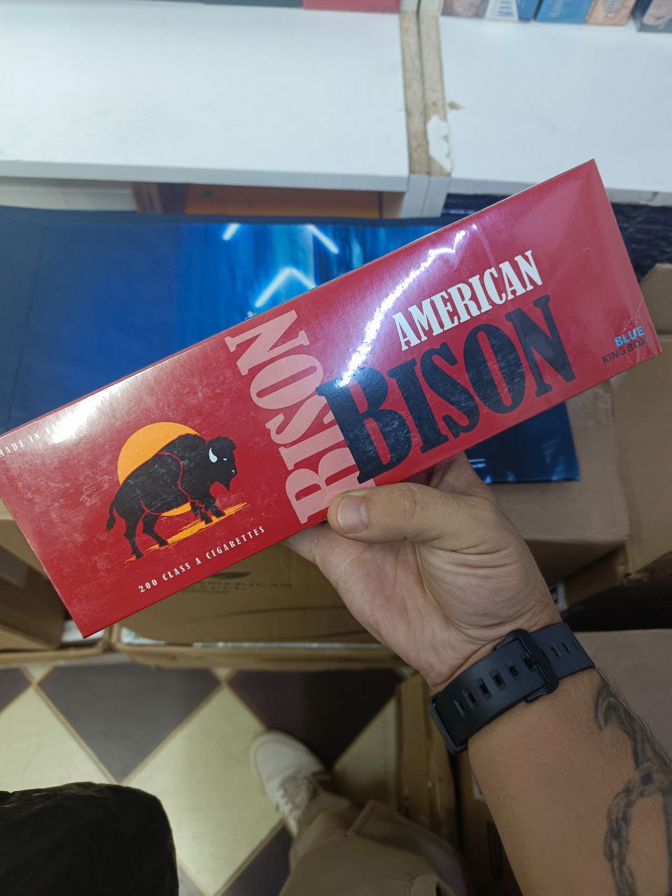 American Bison Red