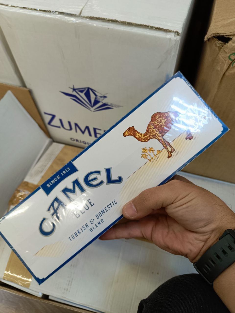 Camel Turkish Blue Domestic