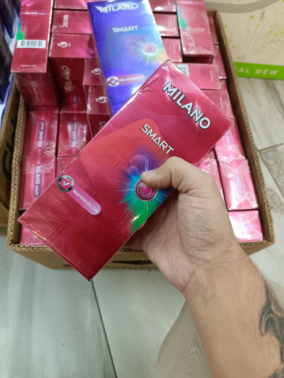 Milano QS Smart Watermelon